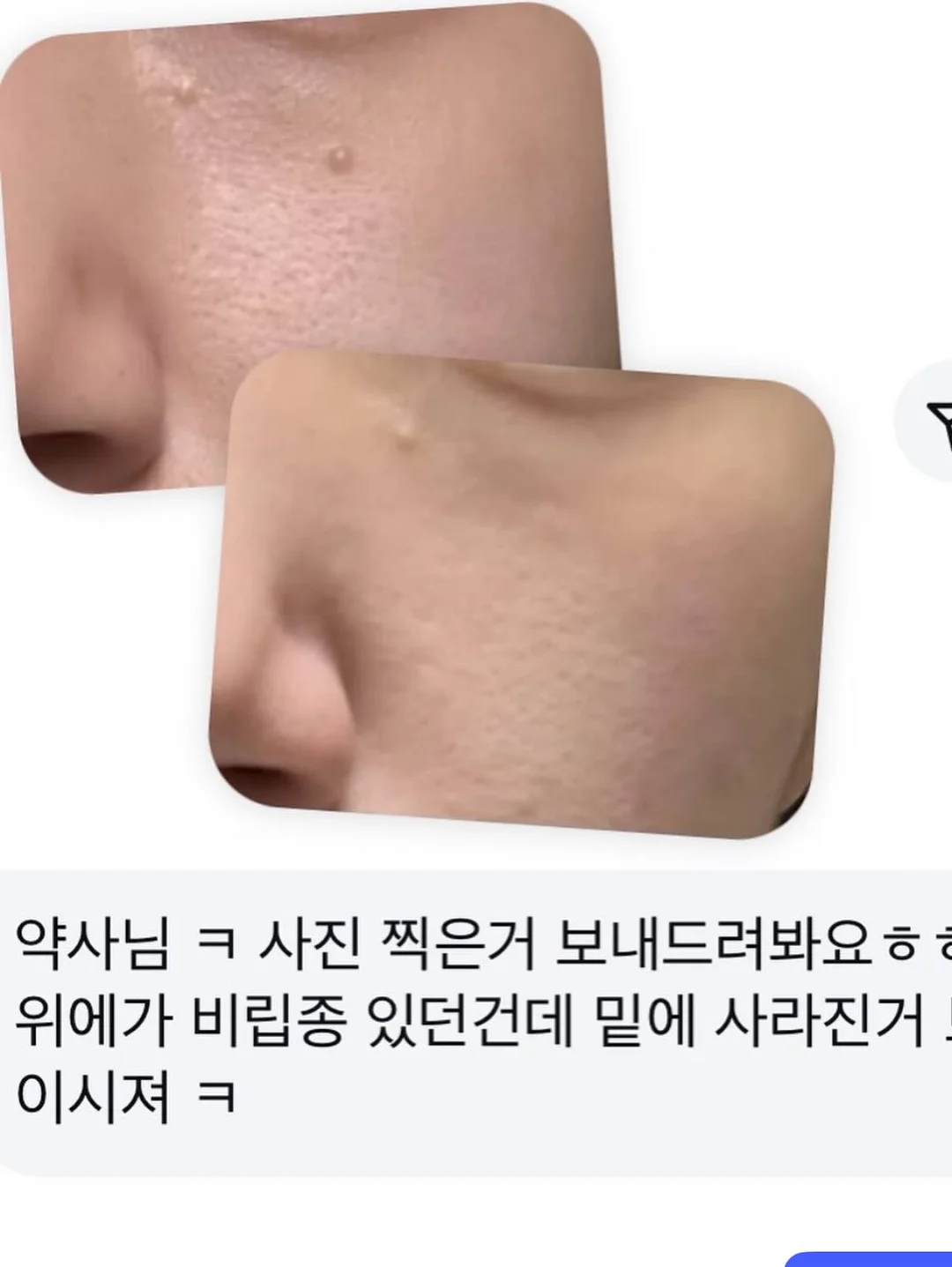 웨딩촬영 부케 15