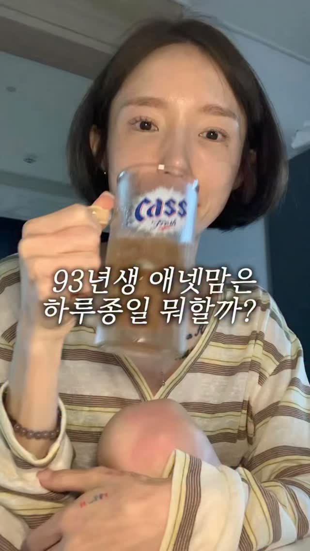 다이소 꿀 조합 보조설치판/스윙케이스