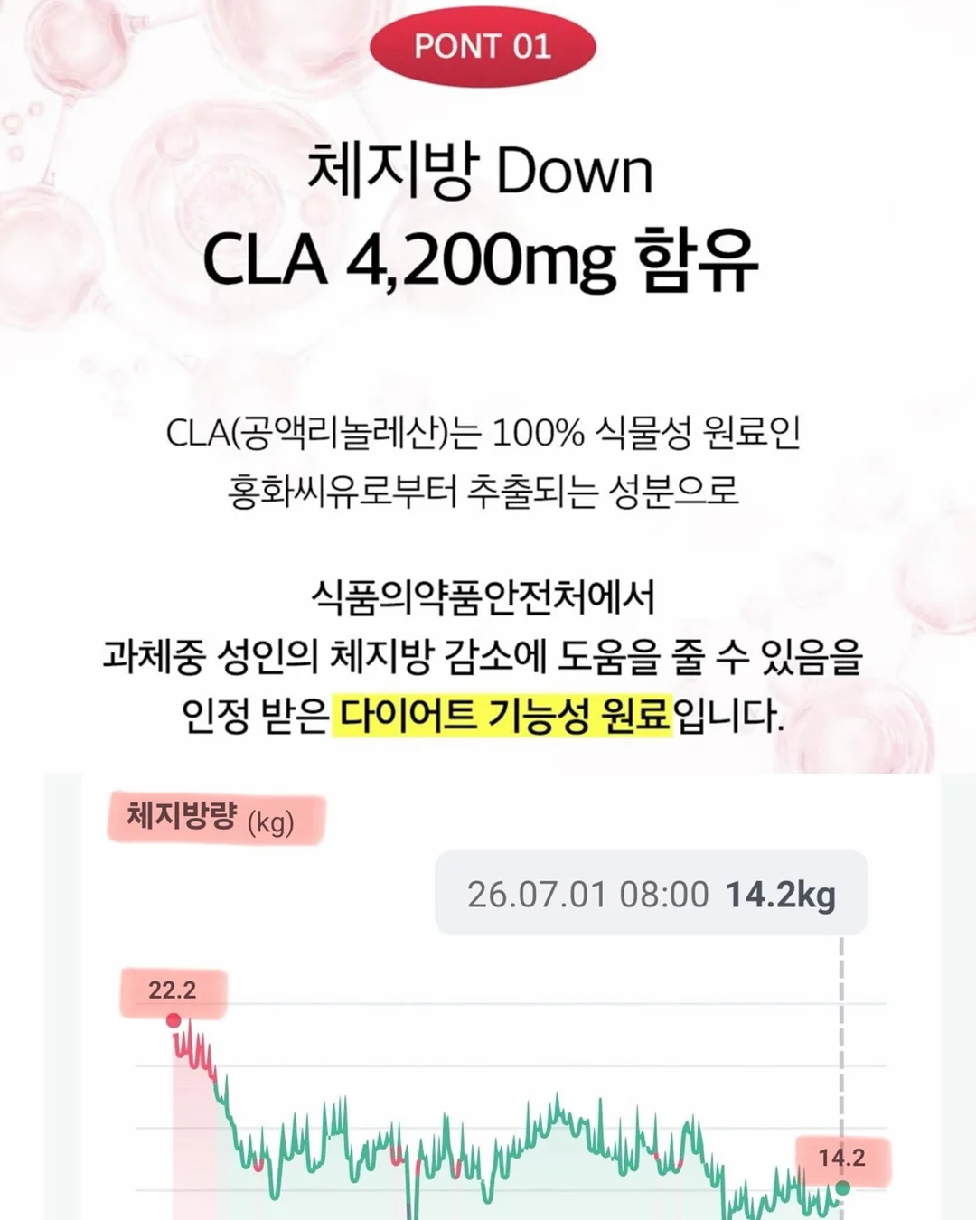 루드베키아 화병꽂이 7