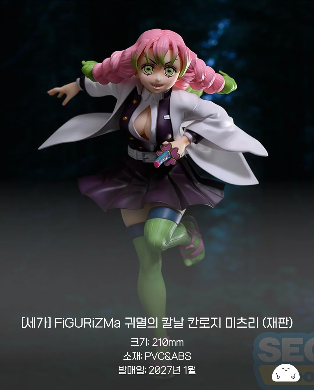 확장형 우산 3