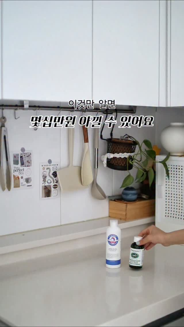 닥스훈트 우드행거