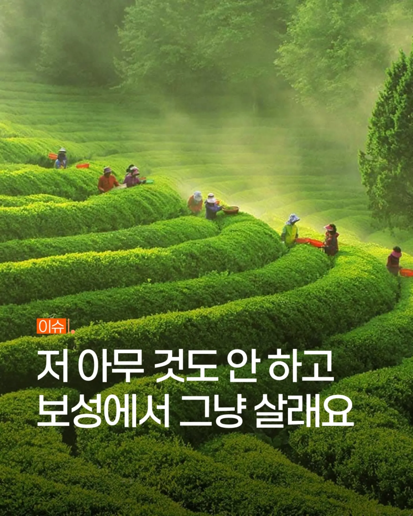 자이언츠 헬로키티 인형 1