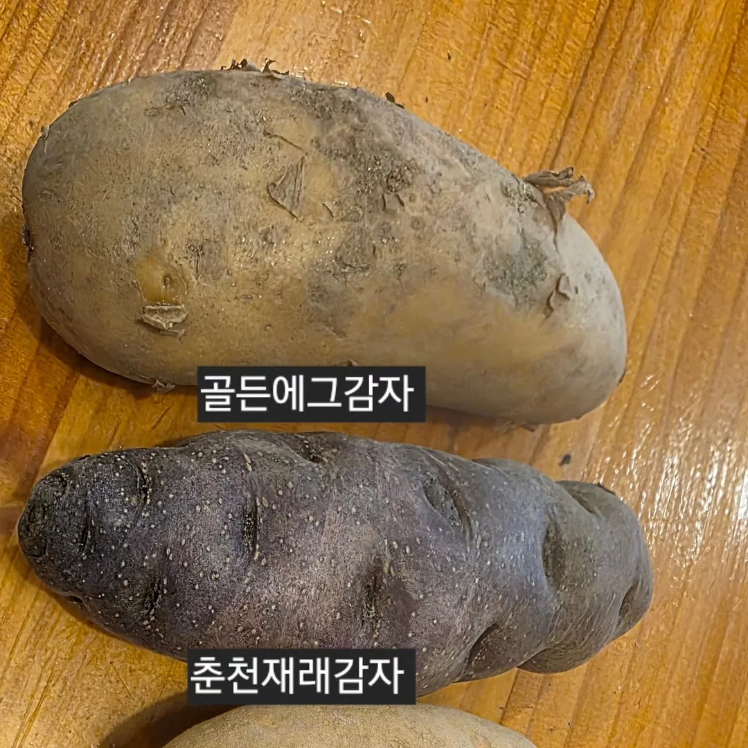 데님 스커트세트