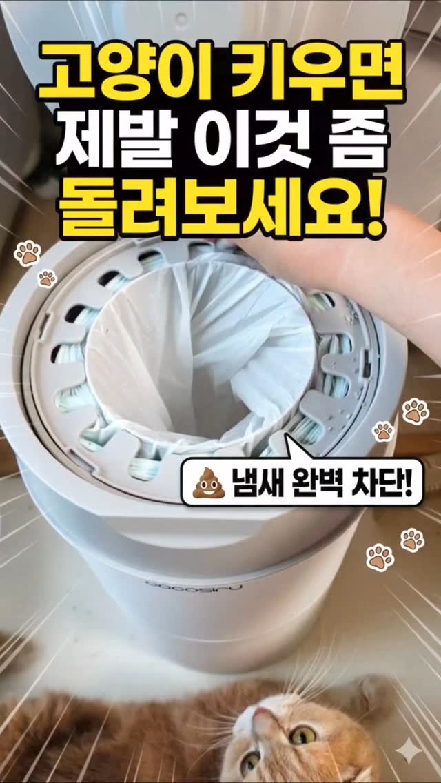 포만 초콜릿