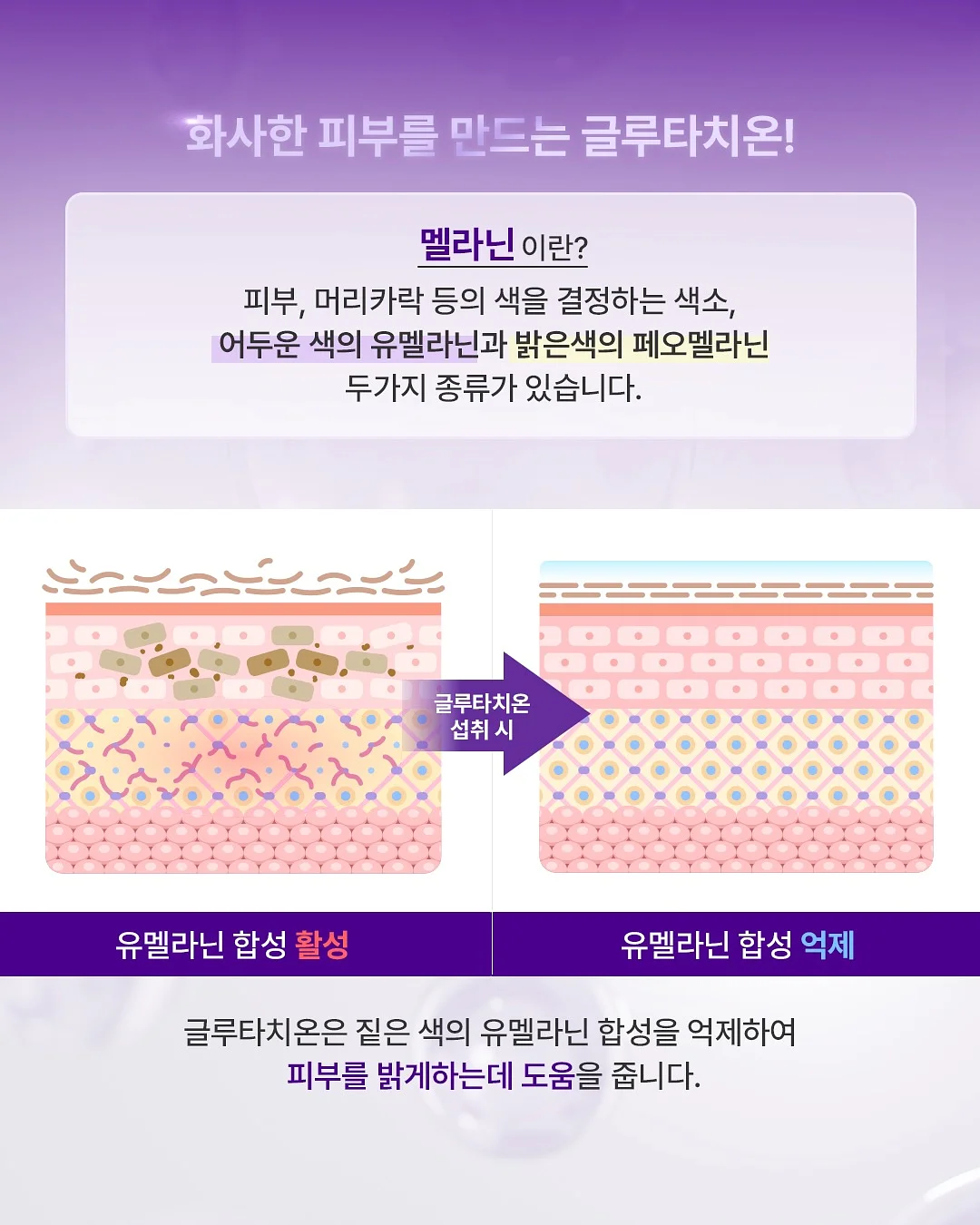 첫돌 포토존 14
