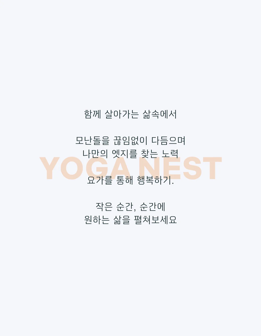 핏랩 -5kg 골지나시 7