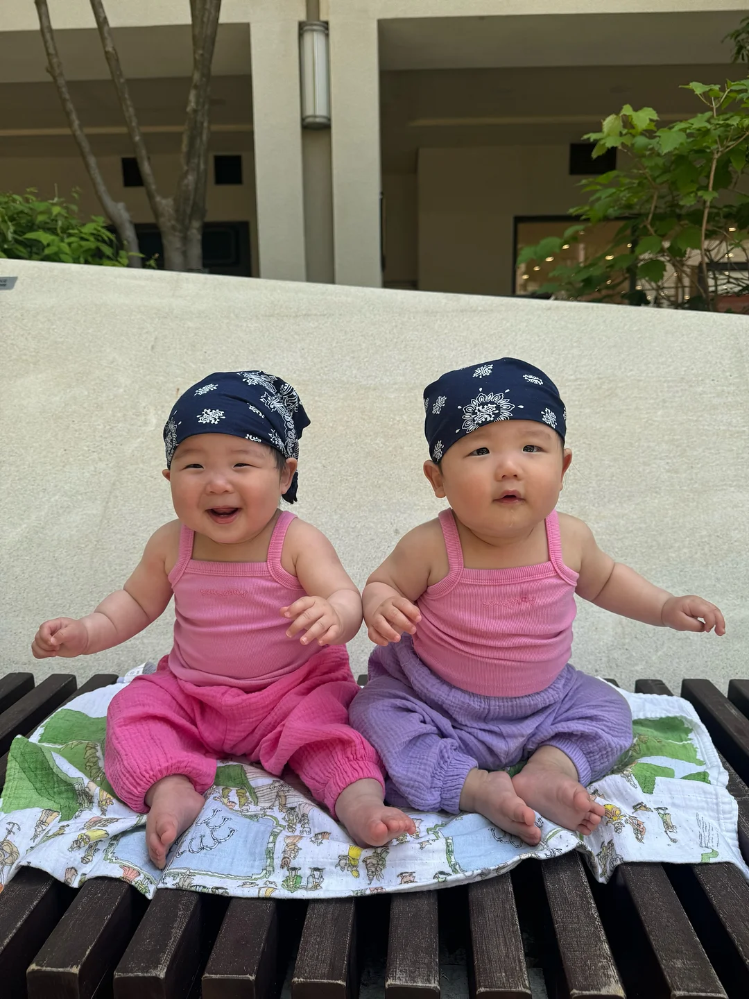 에크랭백 5