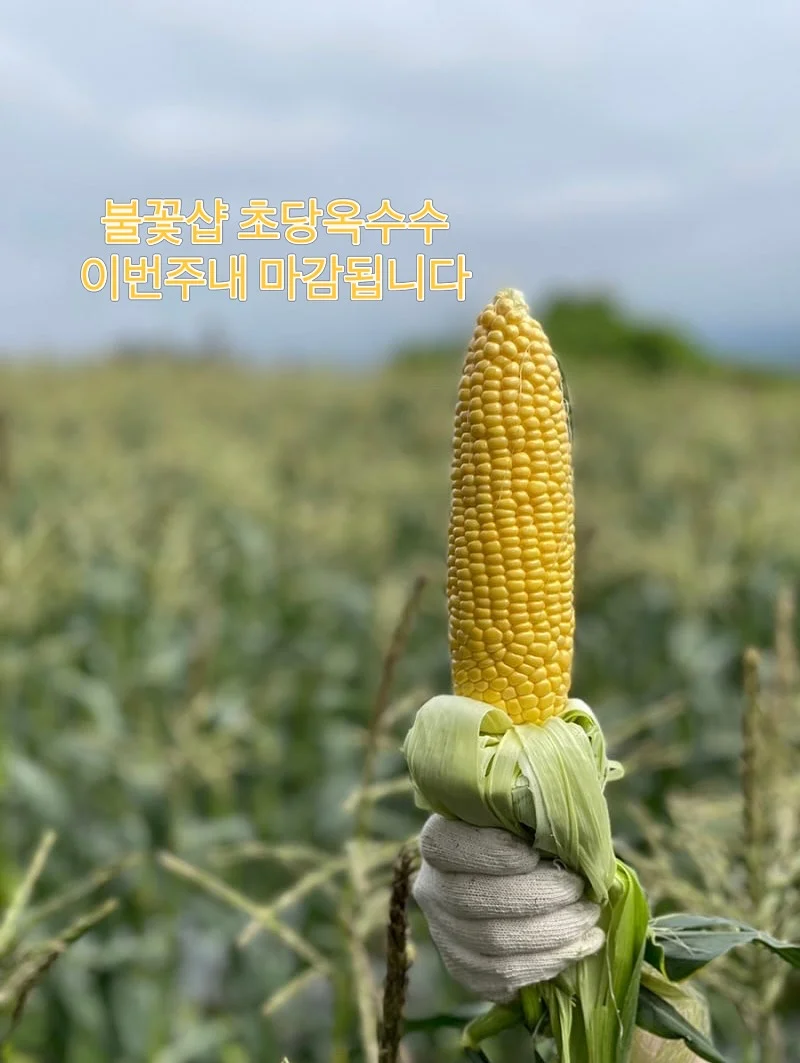 리즈커피 1