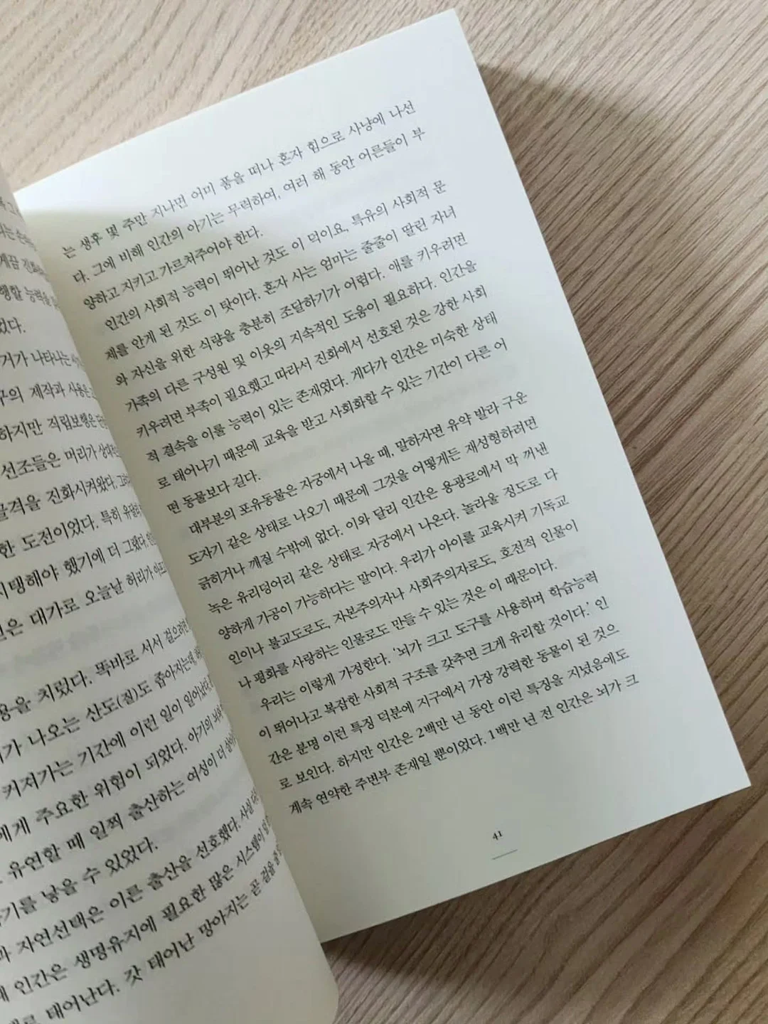 아즈마야 레몬스퀴저 13