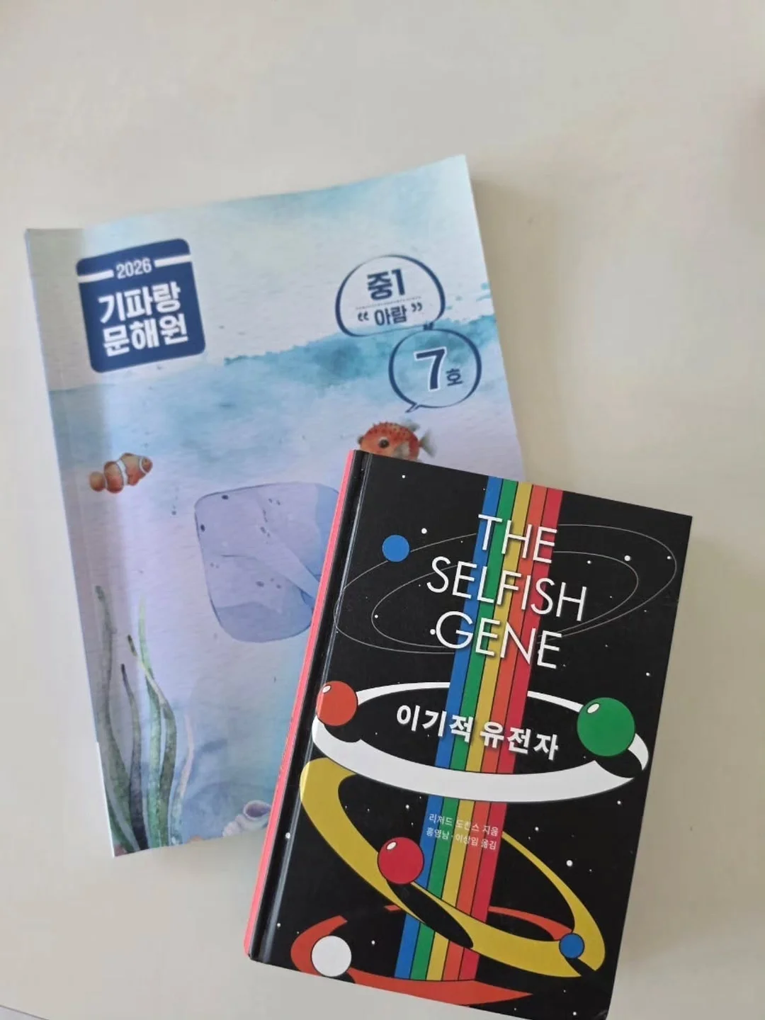 아즈마야 레몬스퀴저 4