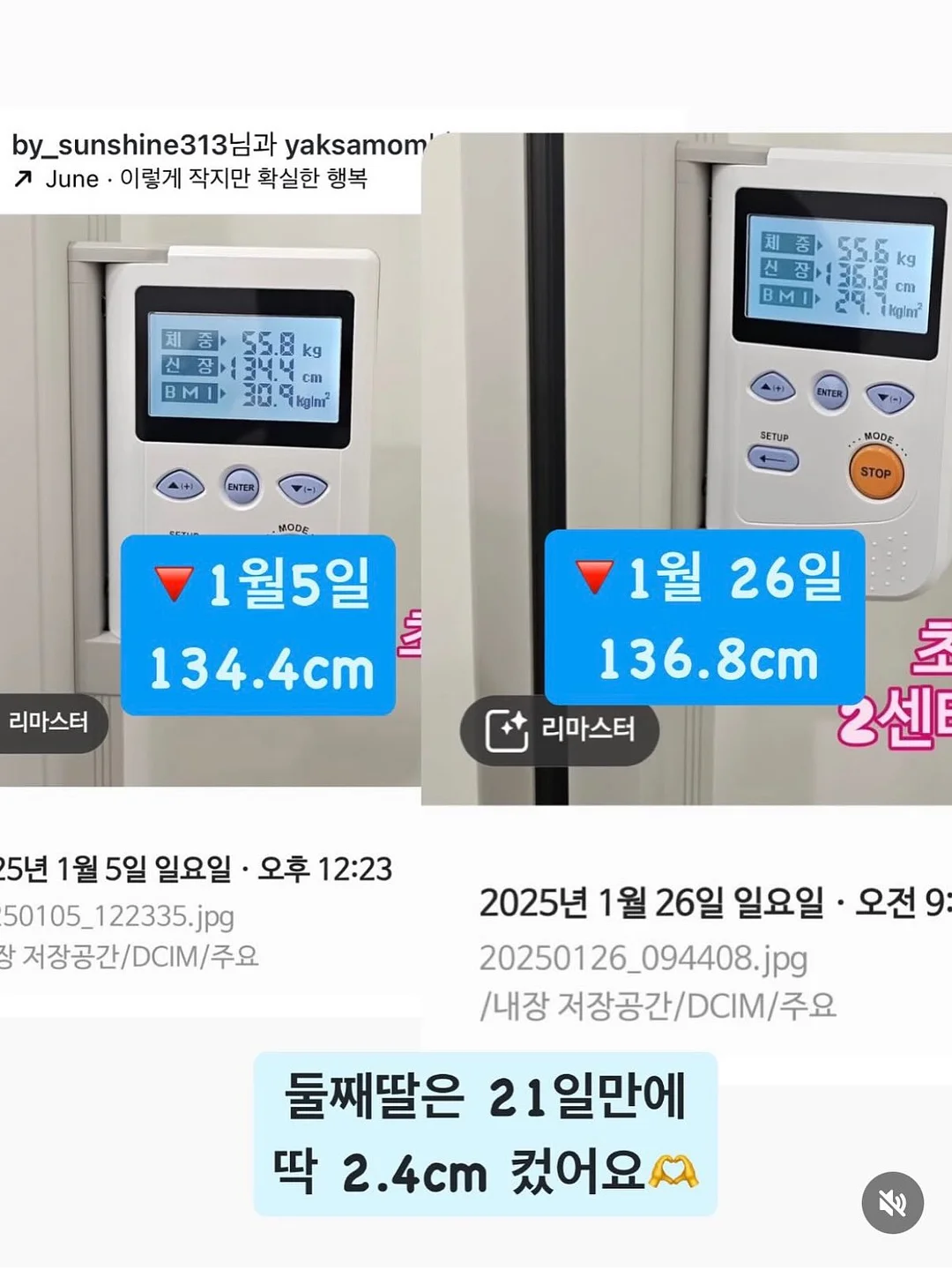 이자카야 오이 셀러드 소스 13