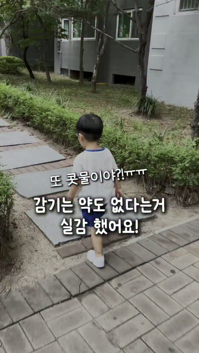 초당옥수수설기+버무리, 레인보우한입강정