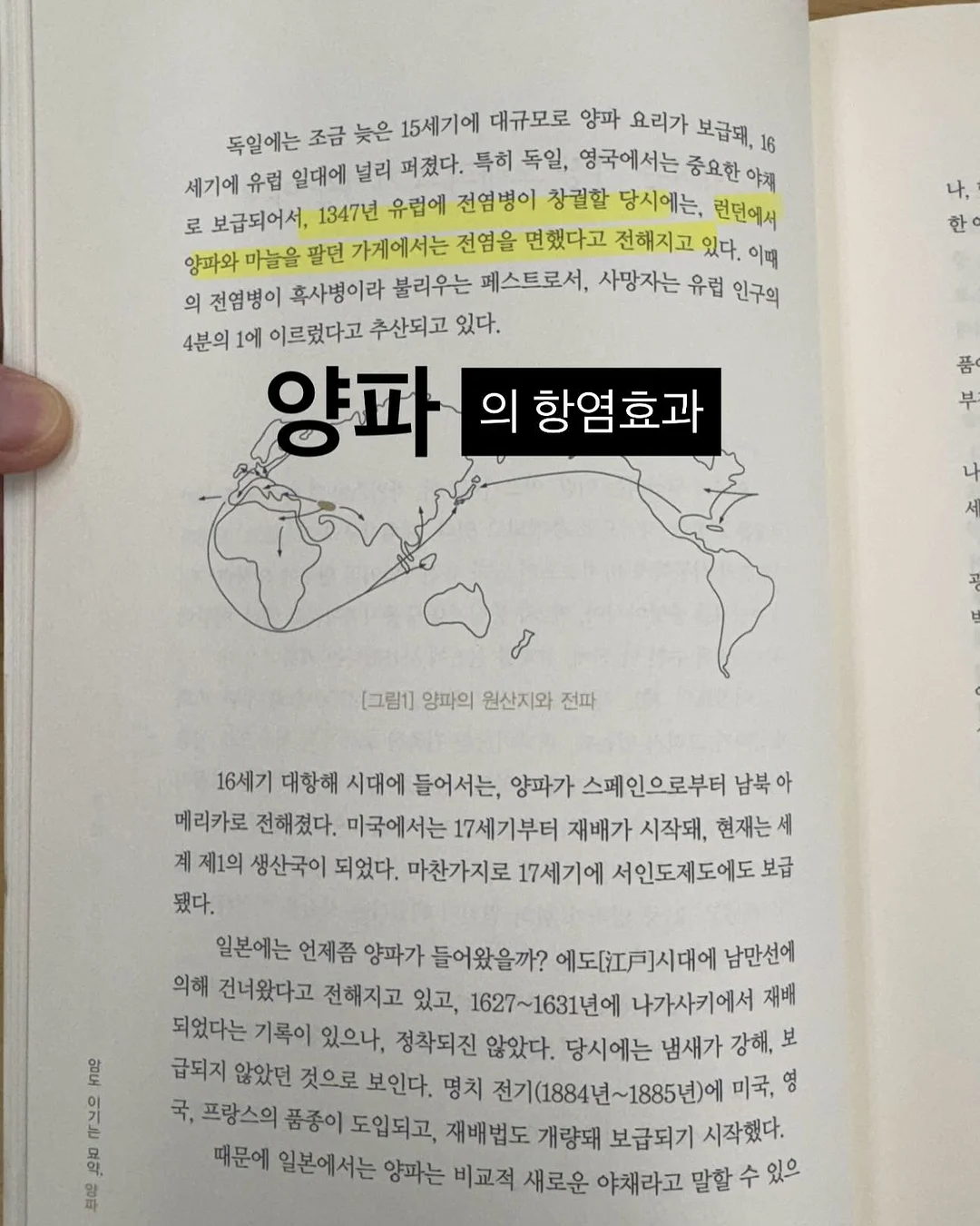 비수기 성장 프로젝트 5
