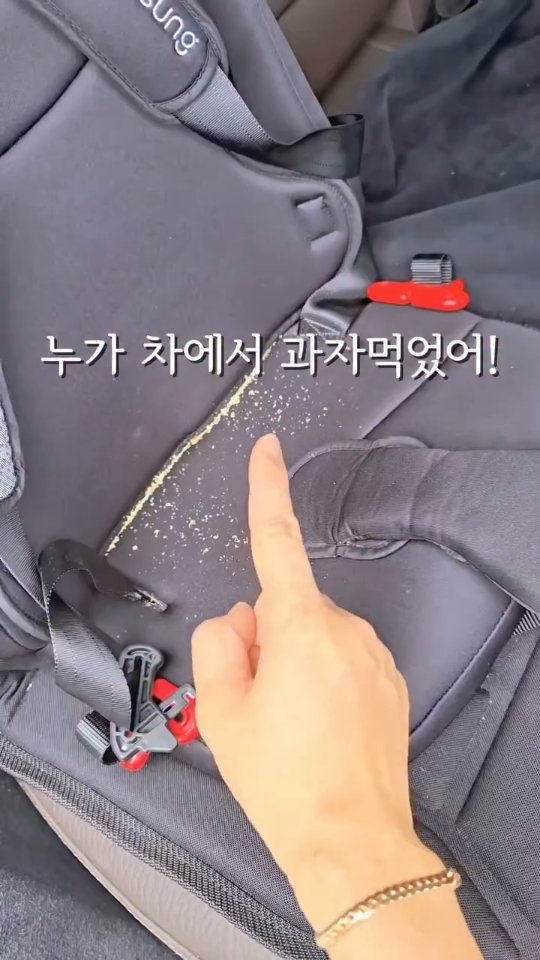 픽토리 빼뜨르 호라체크 8종 세트 / 조작북 8종 세트