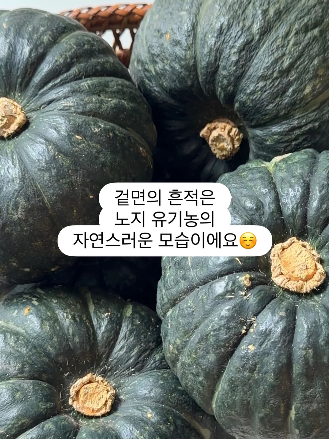 딱복 복숭아 8