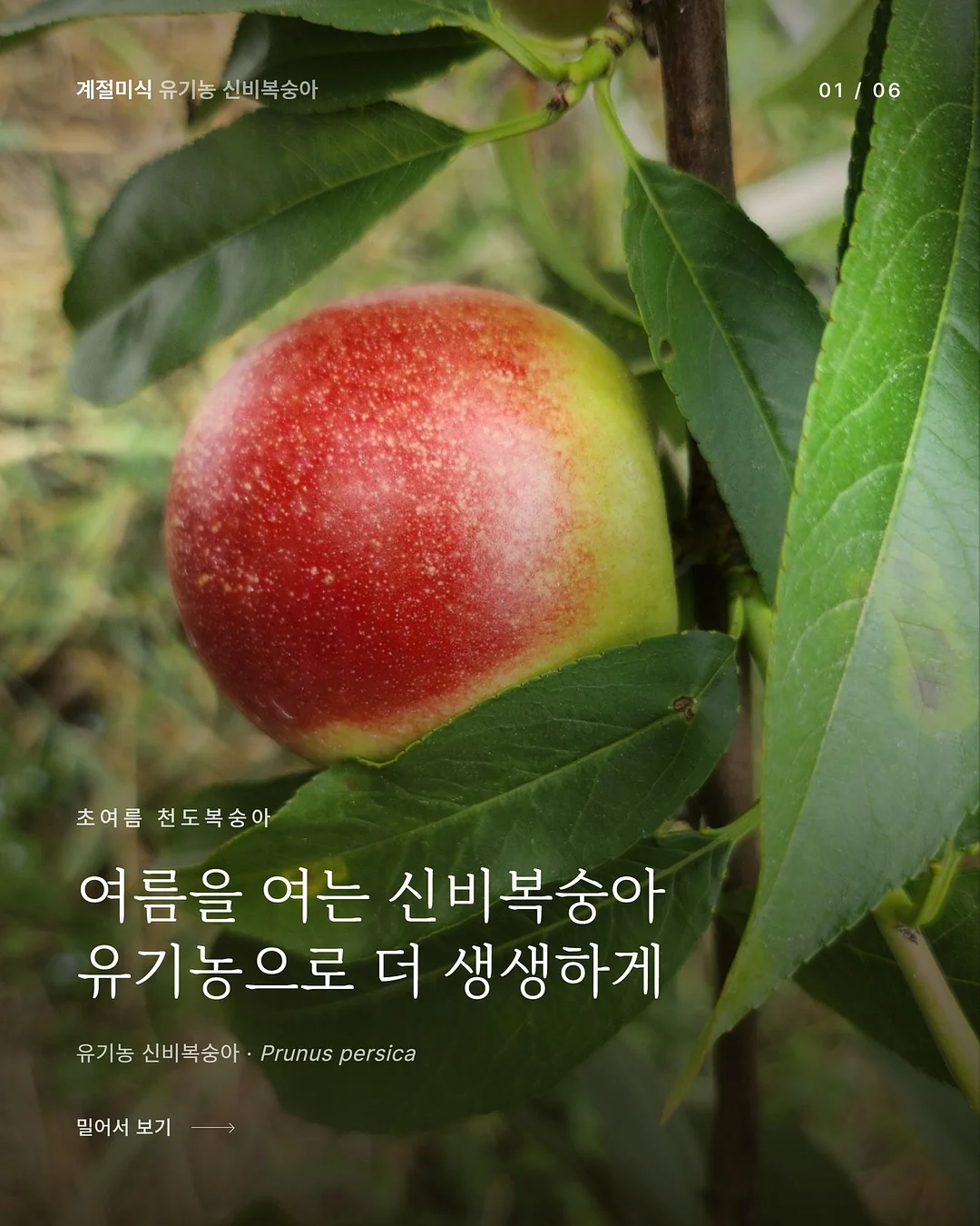 원터치 탁구 네트 1