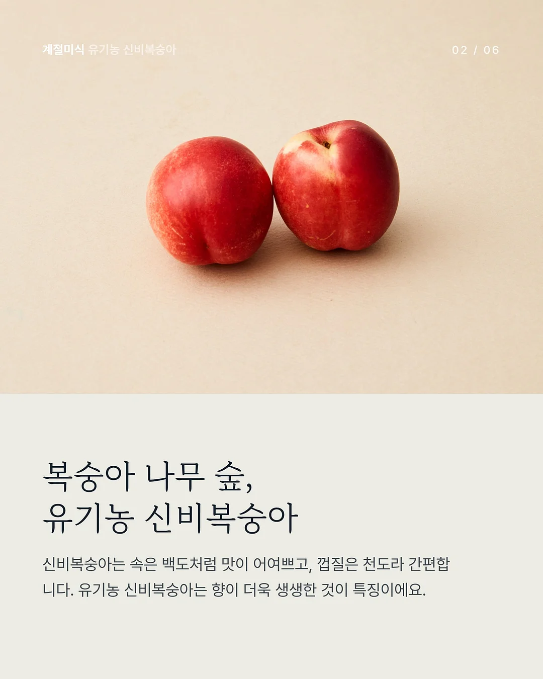 원터치 탁구 네트 2