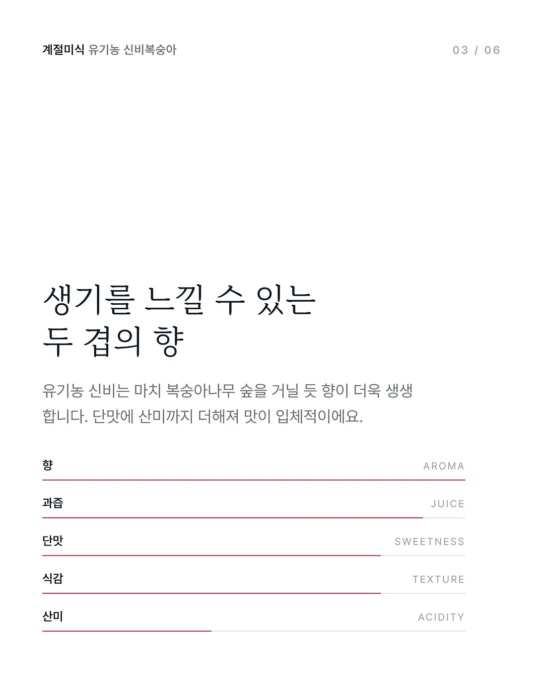 원터치 탁구 네트 3