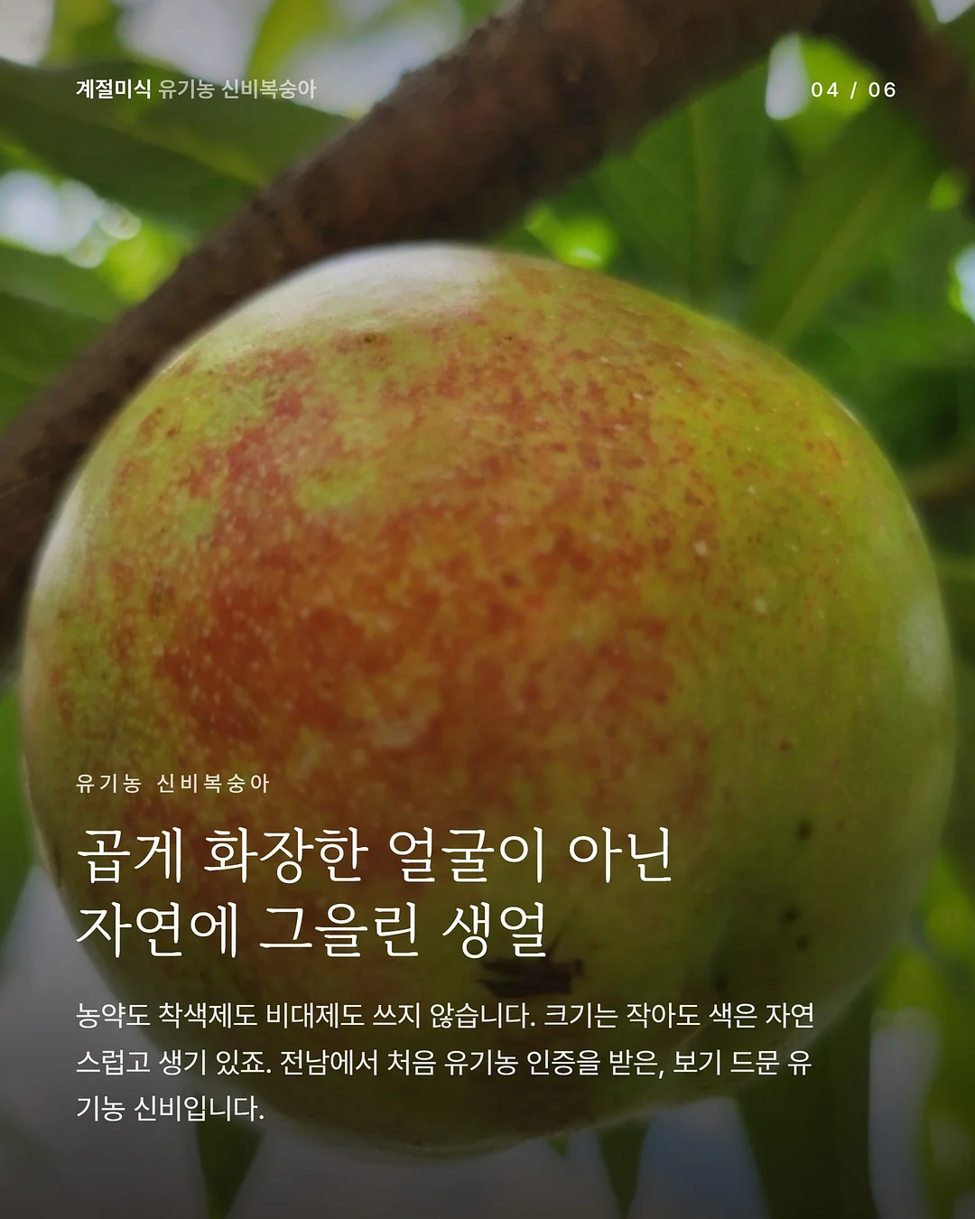 원터치 탁구 네트 4
