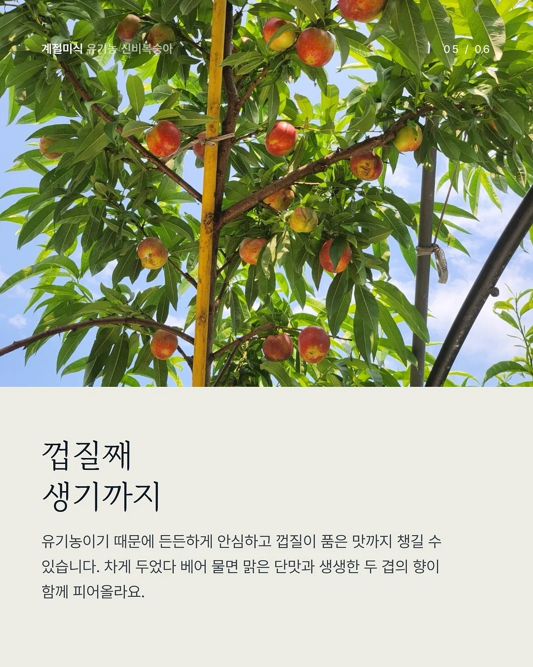 원터치 탁구 네트 5