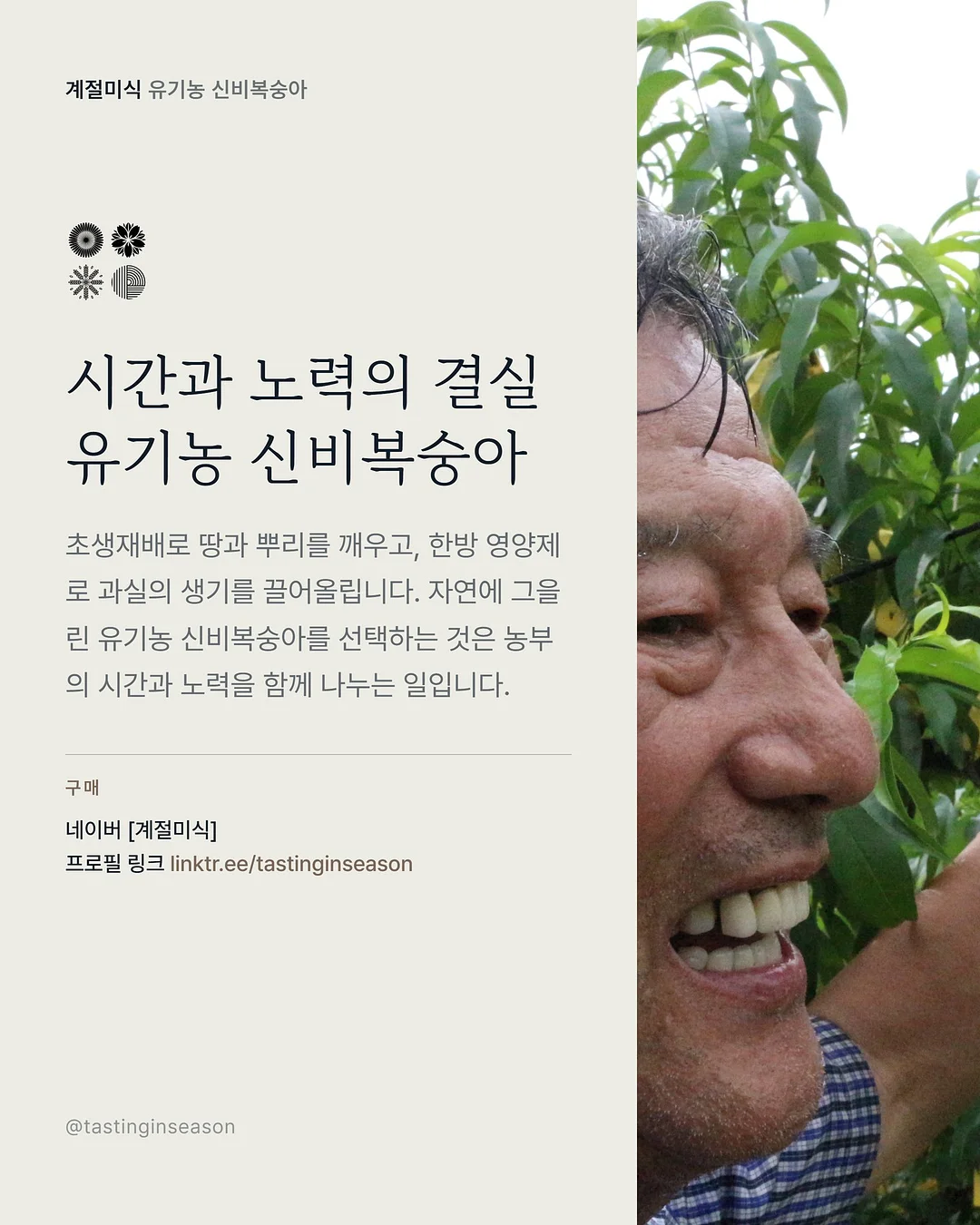 원터치 탁구 네트 6
