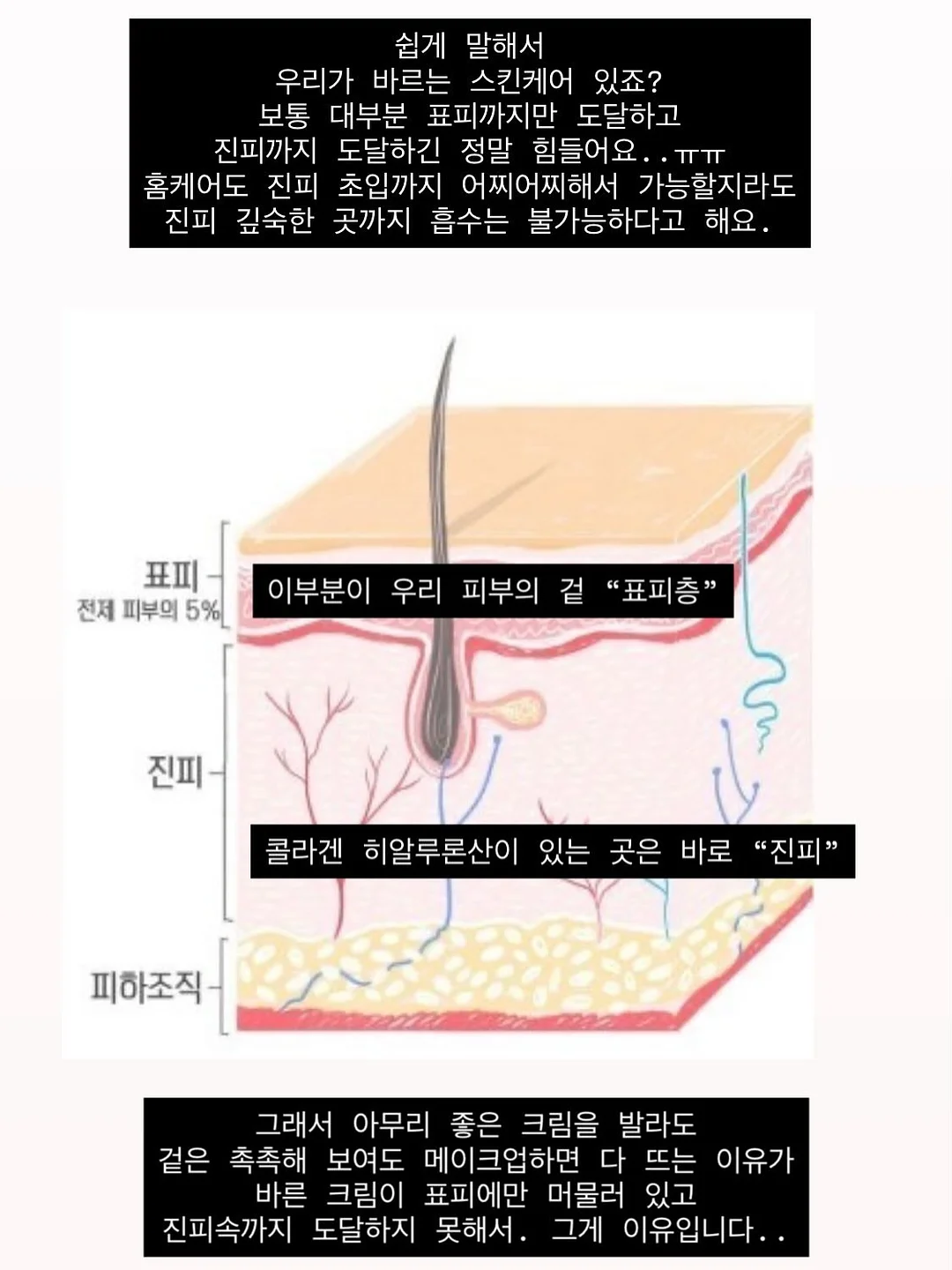산양큰엉곶 반딧불이 탐방 13