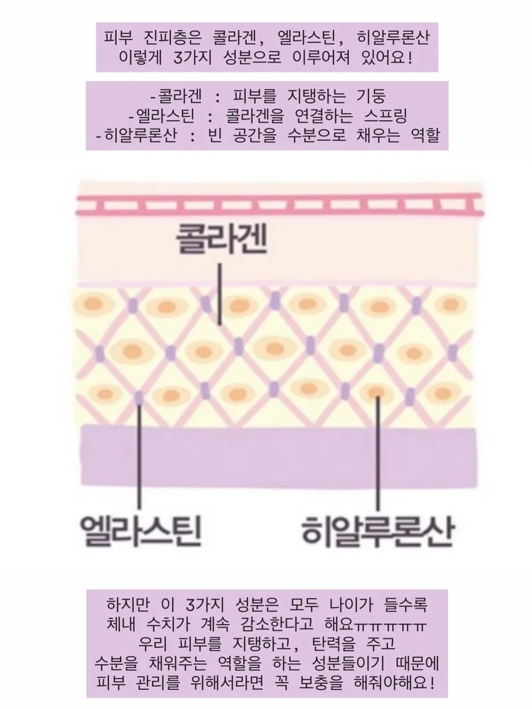 산양큰엉곶 반딧불이 탐방 16