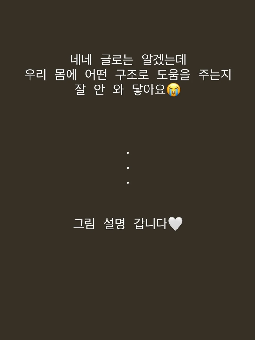 산양큰엉곶 반딧불이 탐방 17