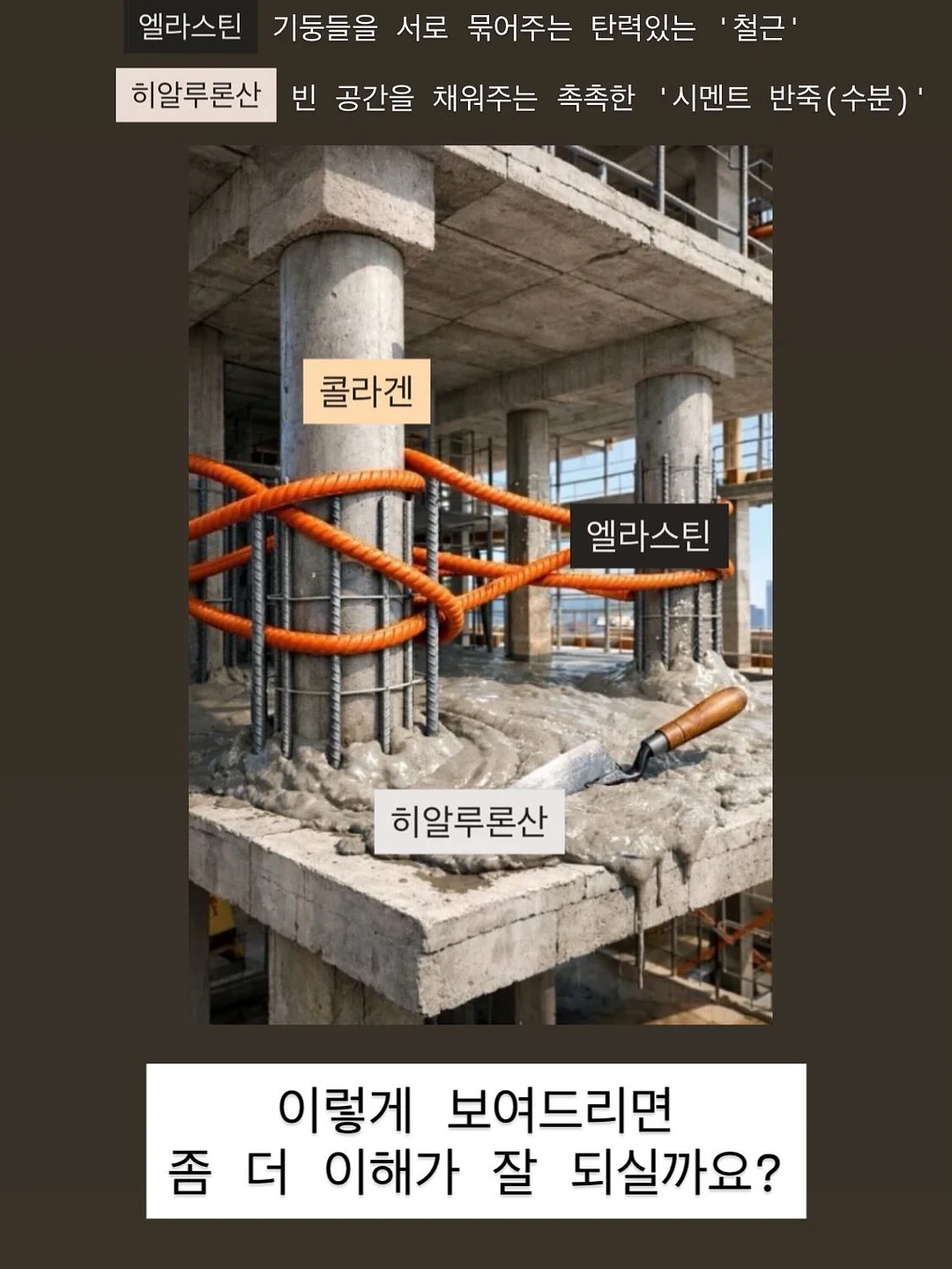 산양큰엉곶 반딧불이 탐방 18