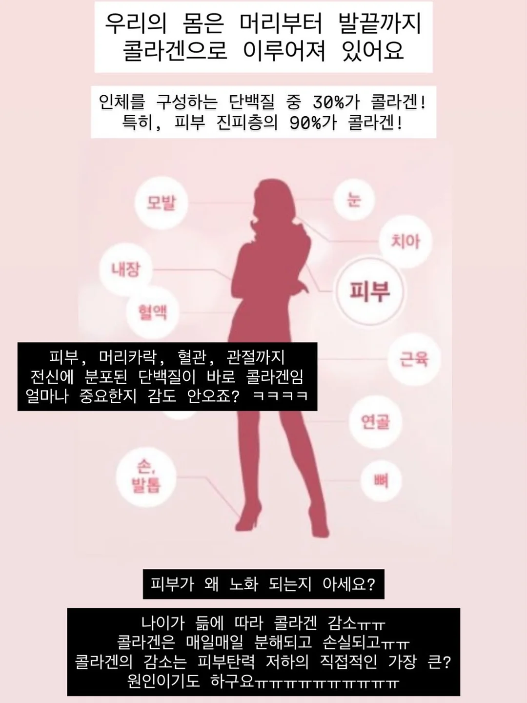 산양큰엉곶 반딧불이 탐방 9