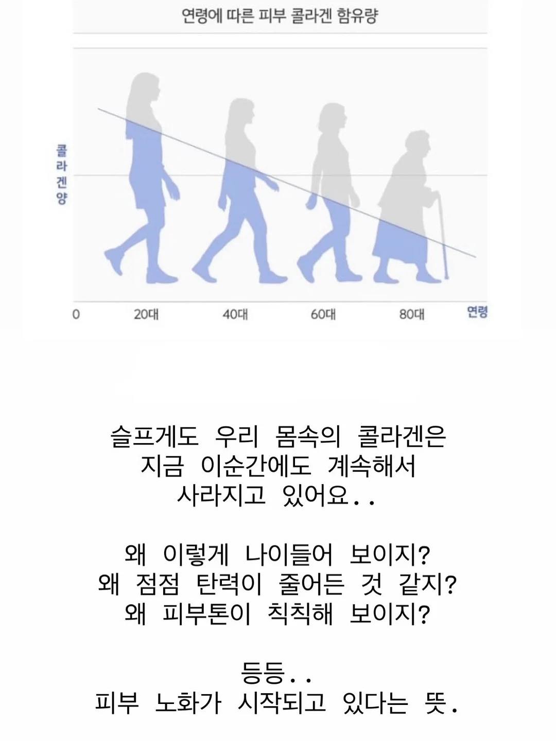 산양큰엉곶 반딧불이 탐방 10