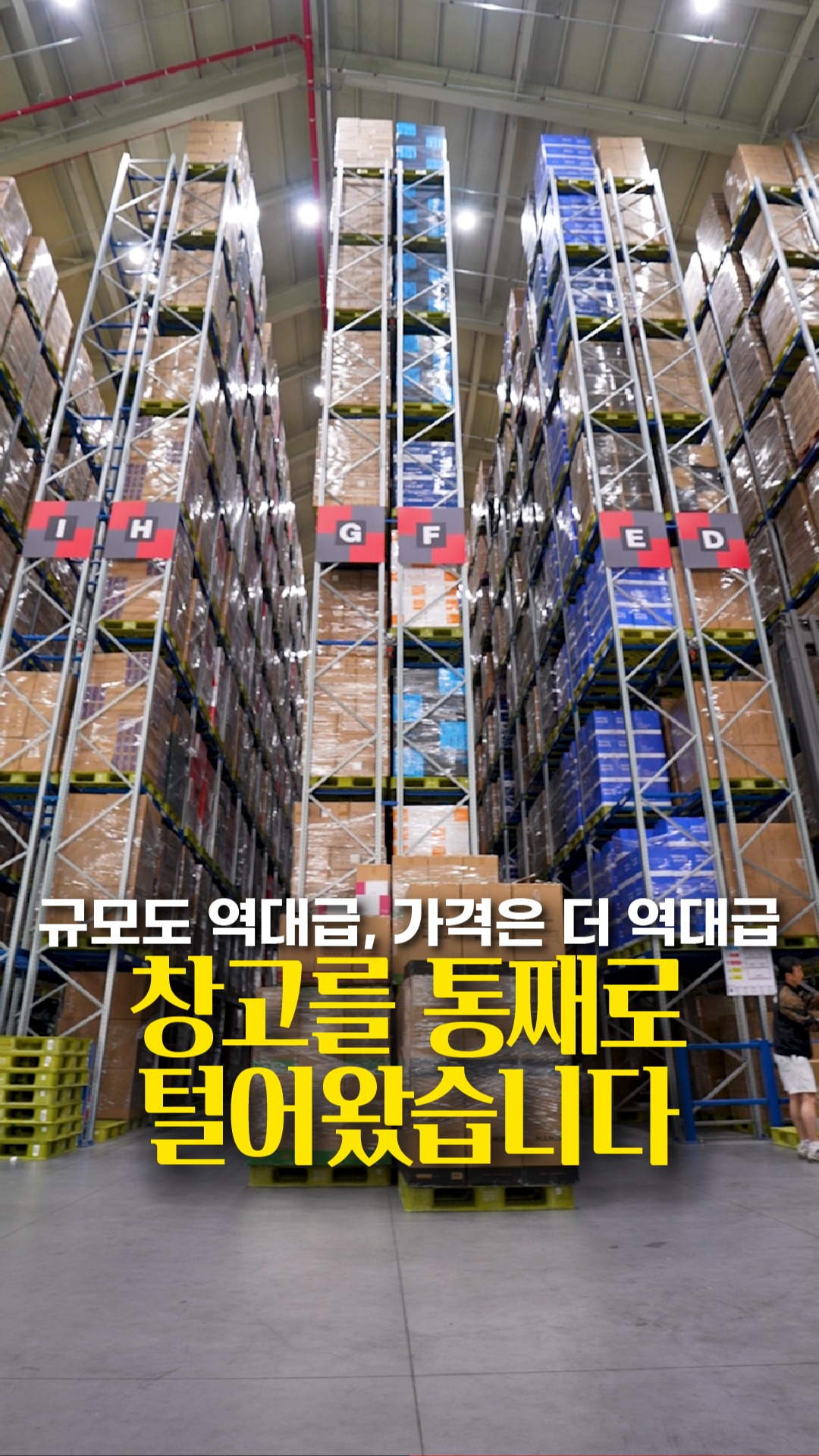 6월 똑똑 프로젝트