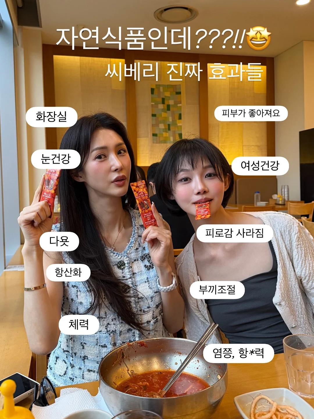 애니클리어 폴더블 핸디 빅팬 휴대용선풍기 1