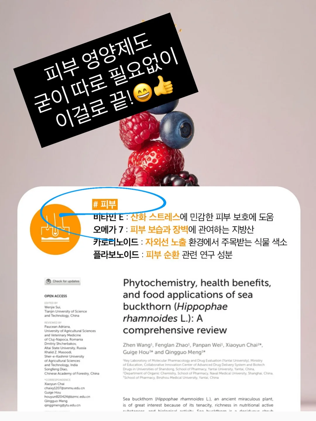 애니클리어 폴더블 핸디 빅팬 휴대용선풍기 13