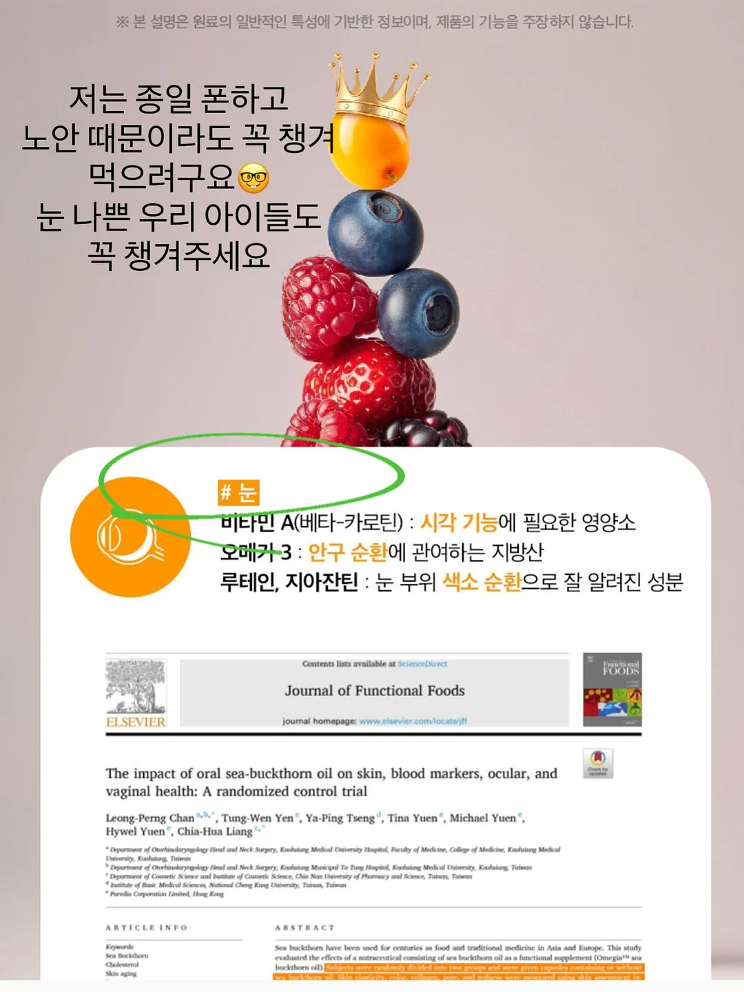 애니클리어 폴더블 핸디 빅팬 휴대용선풍기 14