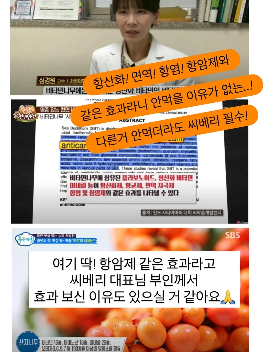 애니클리어 폴더블 핸디 빅팬 휴대용선풍기 5