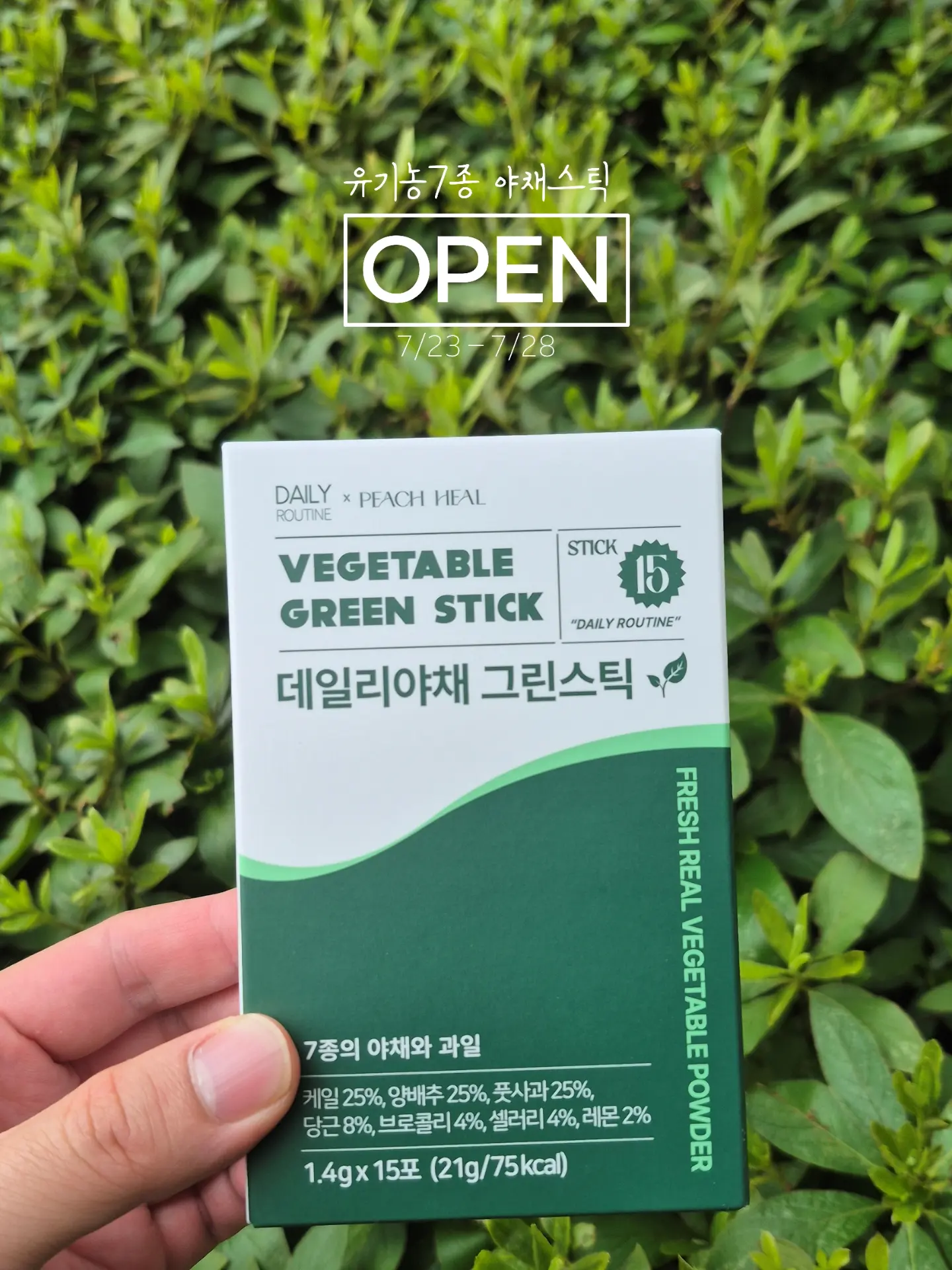 산오징어 2