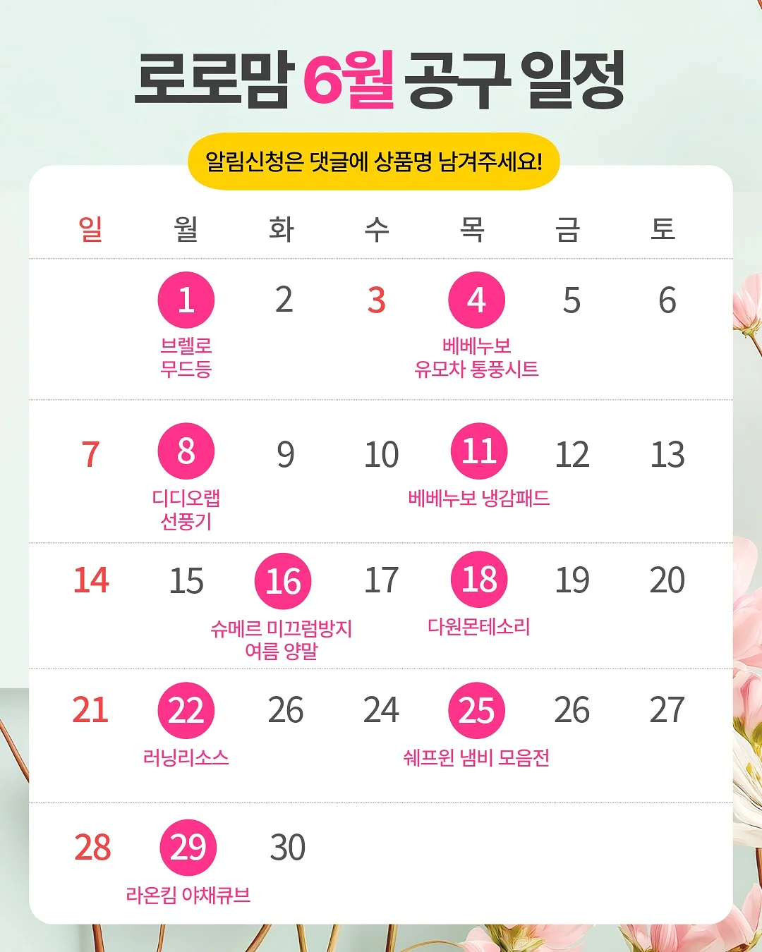 레이첸바흐 테이스트 다각형 볼 (중) 1