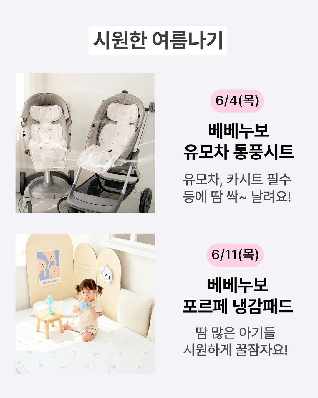 레이첸바흐 테이스트 다각형 볼 (중) 2