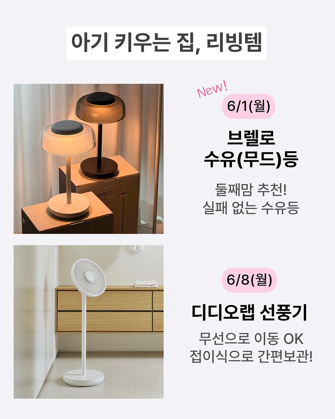 레이첸바흐 테이스트 다각형 볼 (중) 3