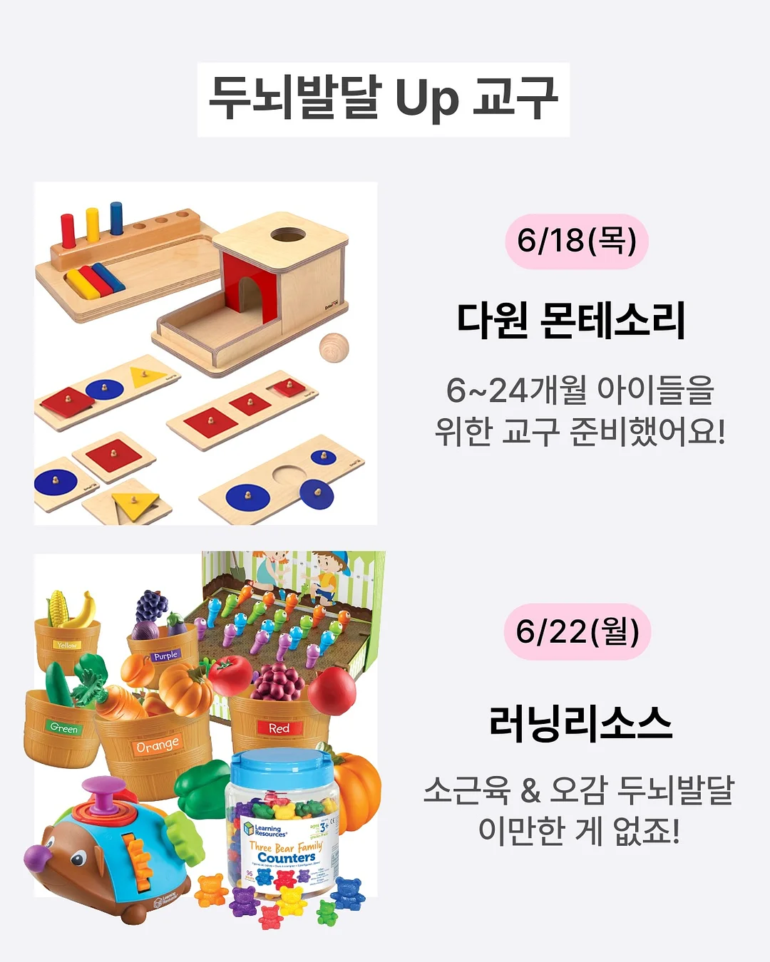 레이첸바흐 테이스트 다각형 볼 (중) 5