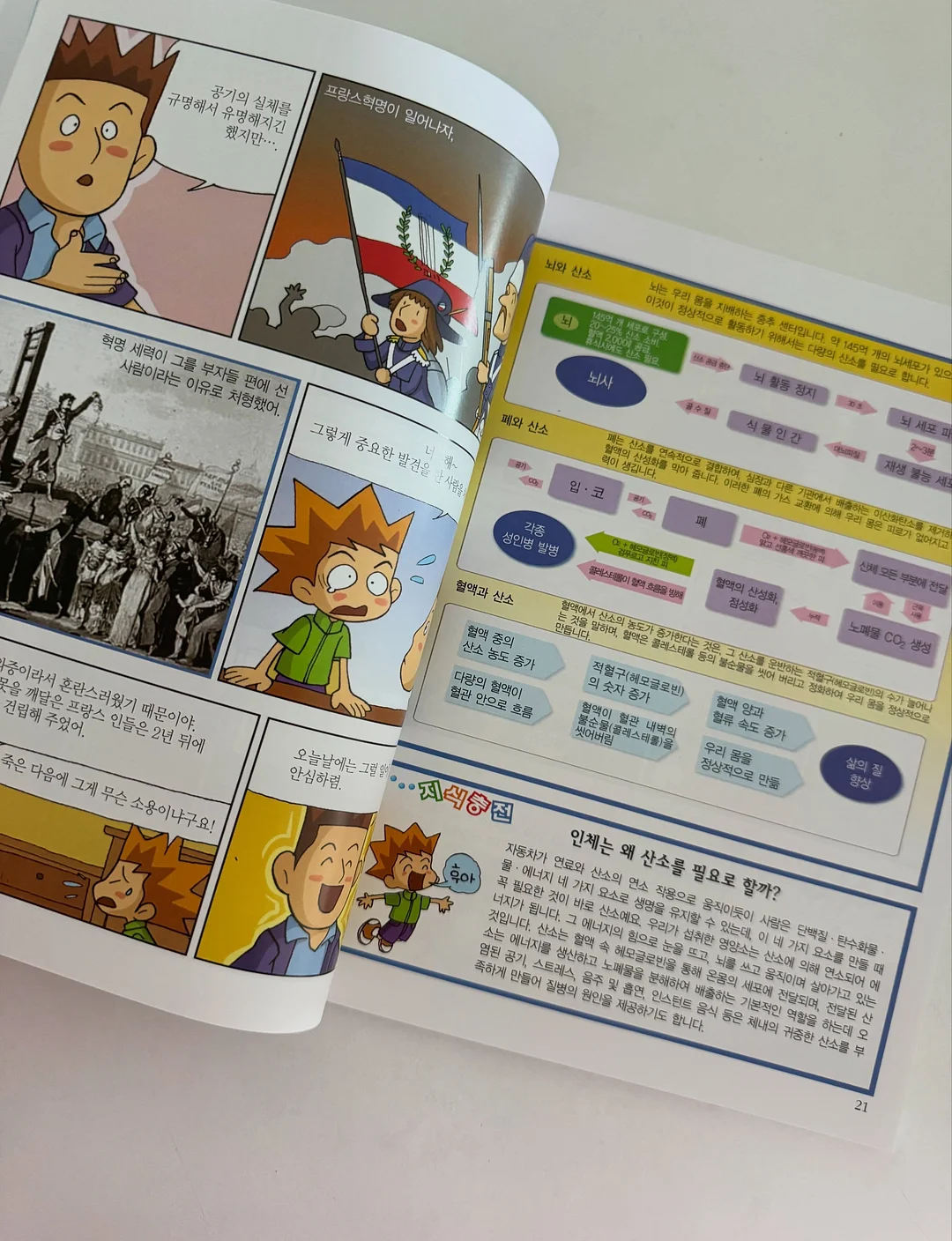 라엘르 매시 슬림핏 집업 4