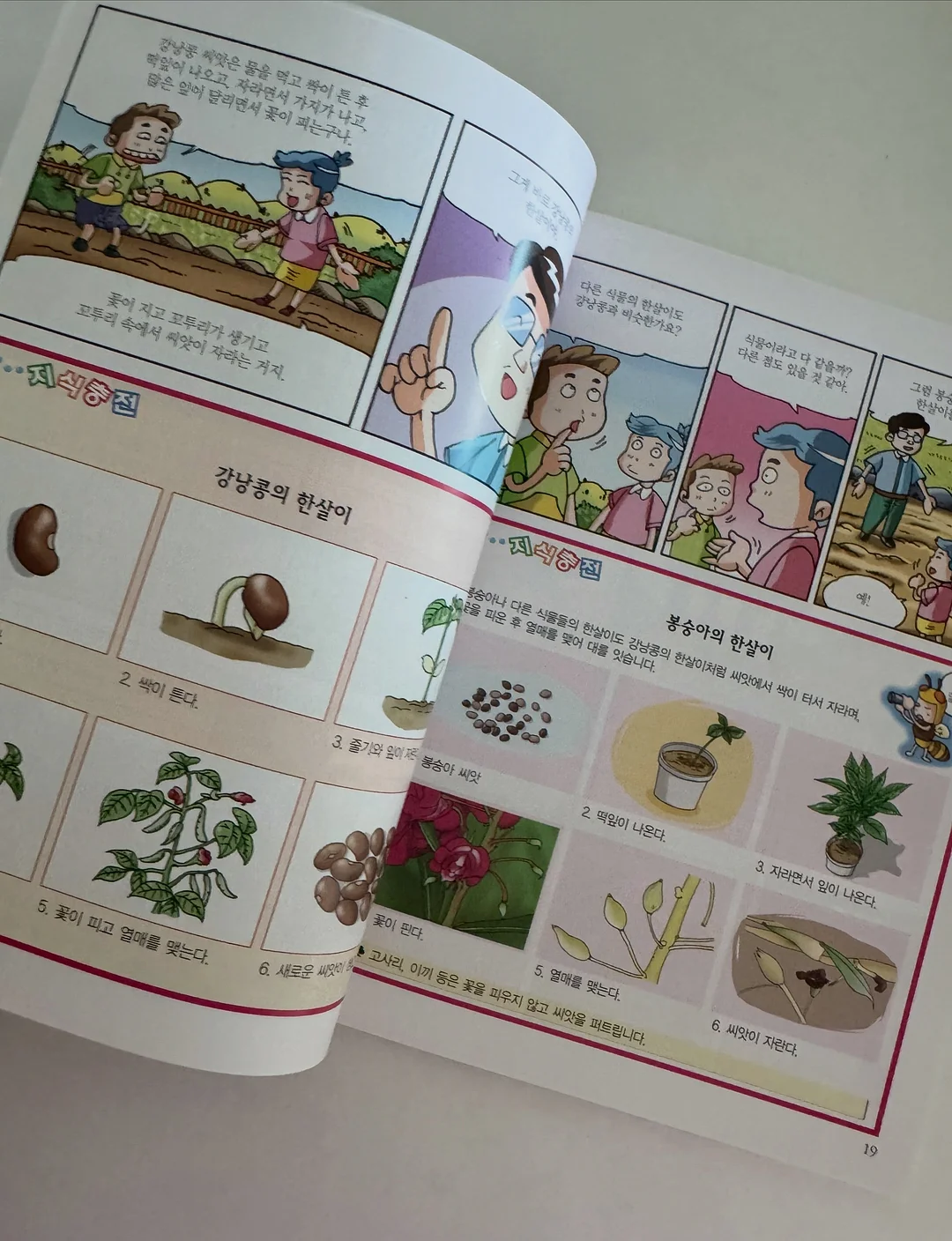 라엘르 매시 슬림핏 집업 8