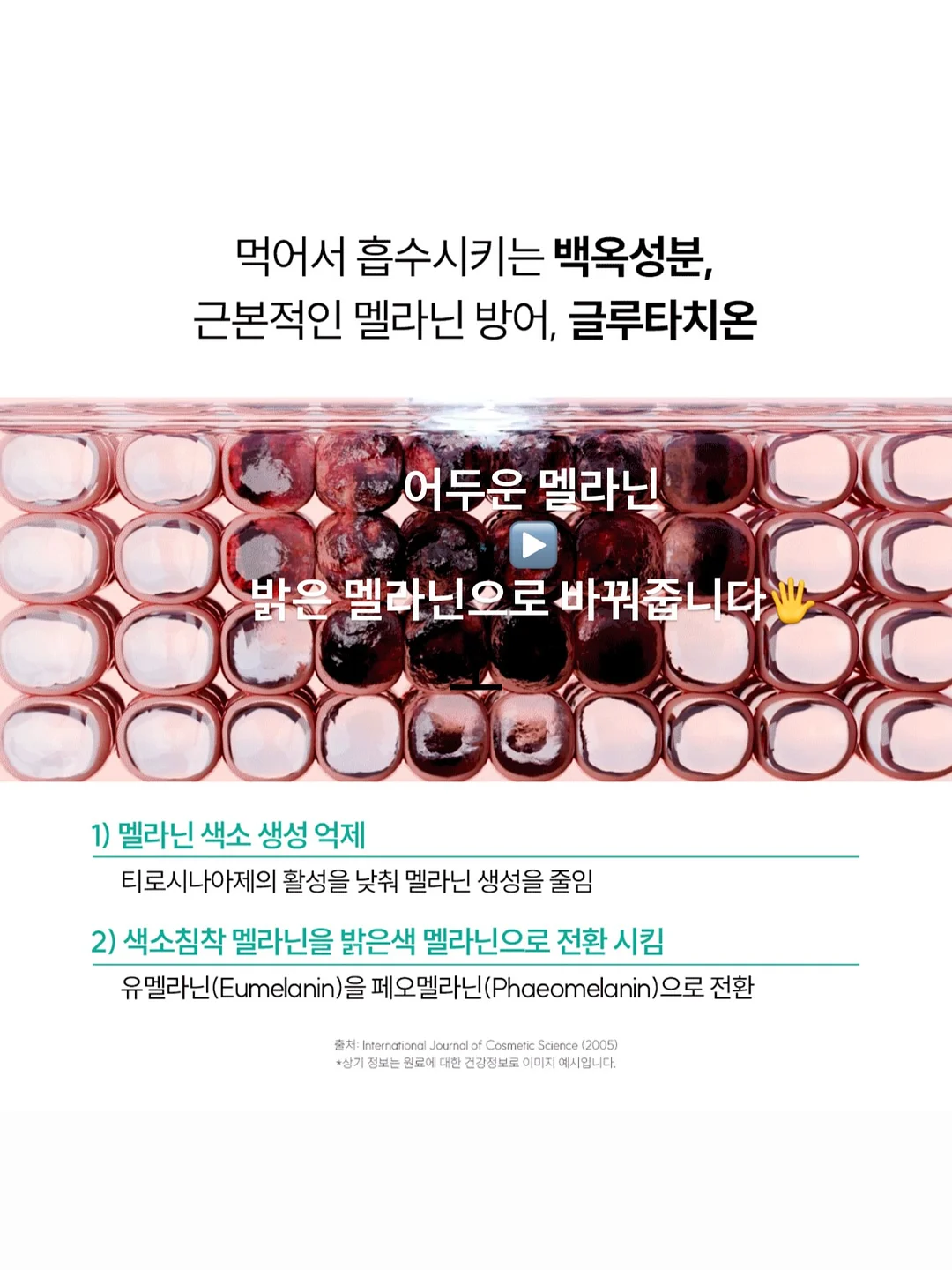 집업 점퍼 8