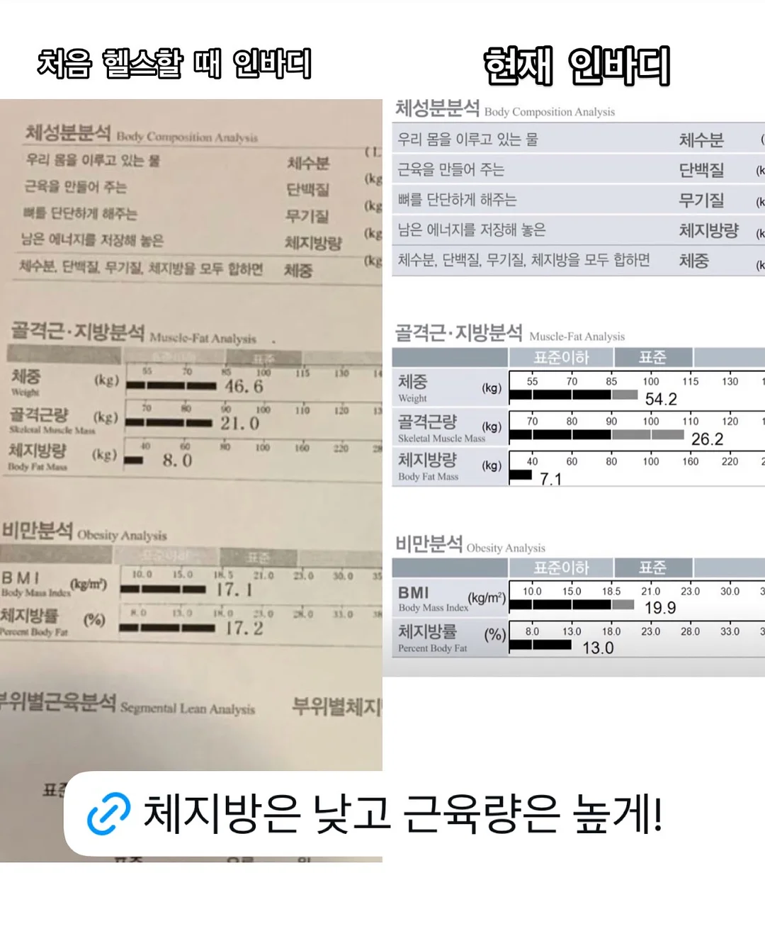 뷰드 보리데이 보리차 진액 6