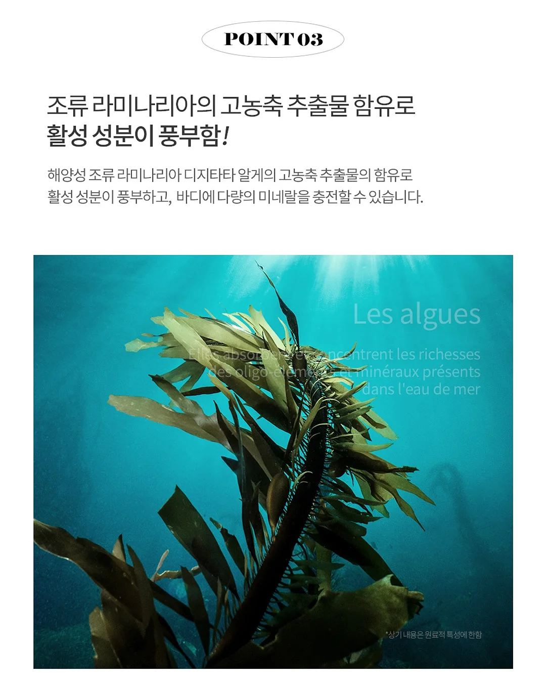 1초 리셋 케이크 비밀 레시피북 9