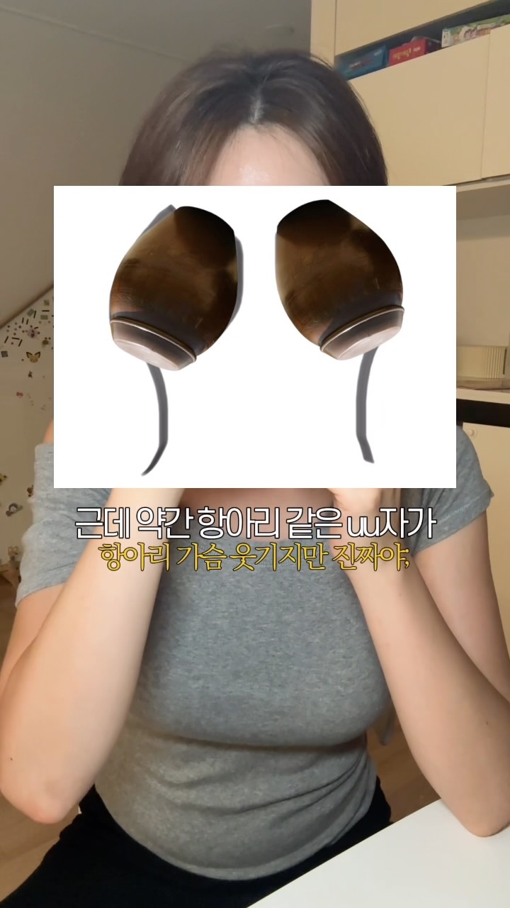 리따플라워 달항아리 + 호접란
