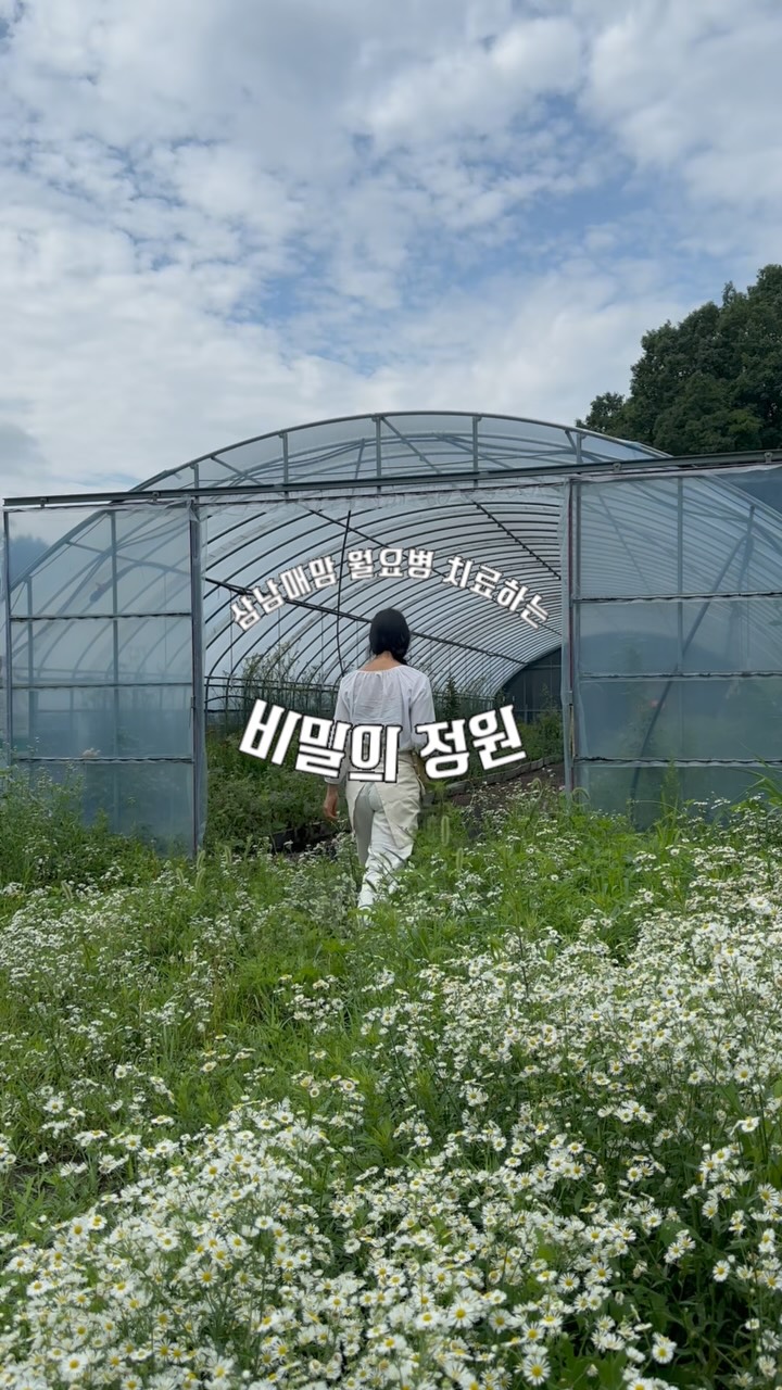 바이듀 니트셋업