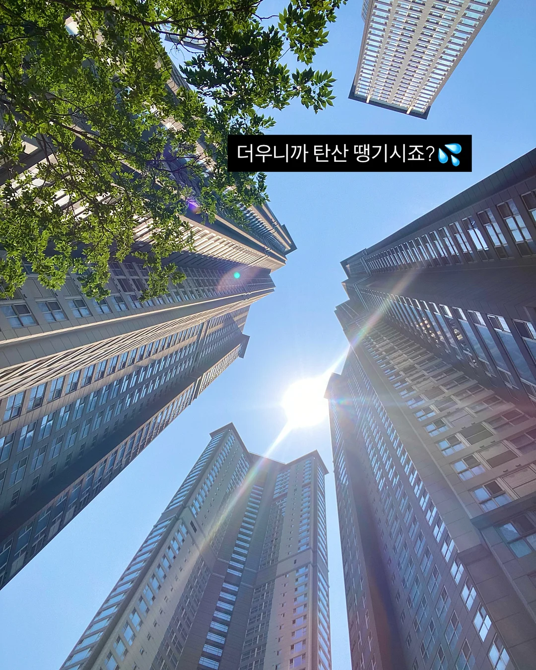 포이패드 옆셔링 캡나시 2