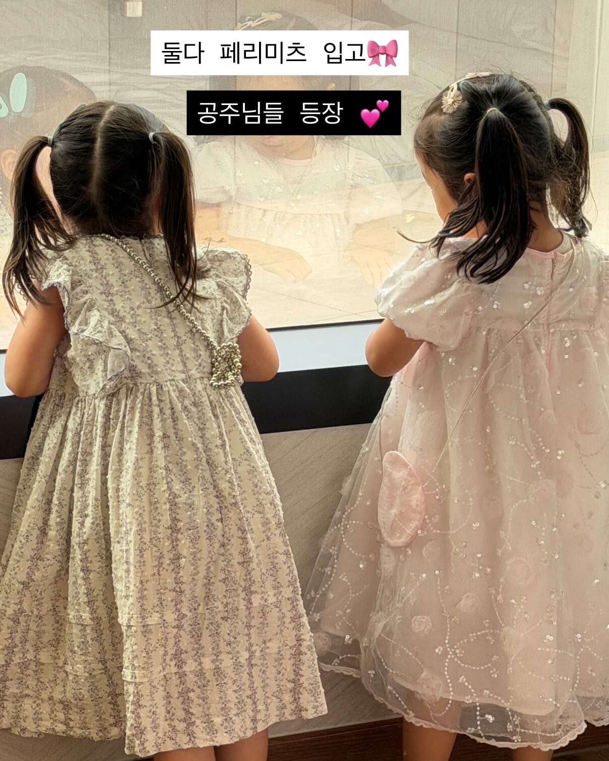 뉴치트 단백질 쉐이크 10